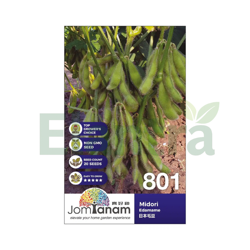 801 EDAMAME